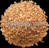 wheat 