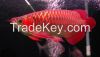 Natural Quality Arowanna Fish whole sale price High Priority Shipping available Worldwide