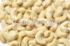 Unprocessed Cashew Nuts