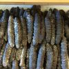 DRY SEA CUCUMBER 