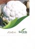 Hybrid Seeds - Tomato ...