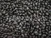 Kidney beans, Black beans, Lentils, Chickpeas, Mung beans, Soybeans