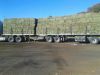 Lucerne Bales (Alfalfa Hay), Timothy Hay Bales