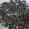 Whole Black Pepper with high quality and cheap price