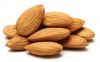 High/ great quality Raw Almond Kernels 