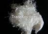 Polyester Staple FIber