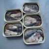 sardine for sale 