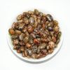 Traditional Castor oil seeds