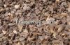 PALM KERNEL SHELL