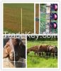 wire fence,electric fence plastic post, pasture fence,electricity rope,pe/pp rope,twine,made in china