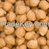 Kabuli Chickpeas