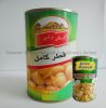 canned mushroom pns manufacturer from china for export