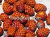 RAPHIA HOOKERI SEEDS