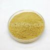 High Quality Salvia Divinorum Extract