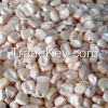 White Dry Maize