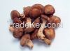 Dried Mushrooms