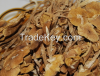 Dried Agrocybe Cylindracea