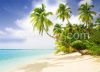 Wall Mural: Beach in the South Seas, Self-adhesive, 272 cm X 198 cm