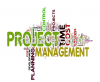 Project Management Ser...