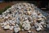 Barite