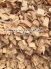 Wood Chip for pulp / p...