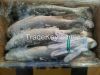 Frozen Grey mullet who...