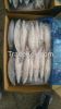 Frozen Pacific mackerel