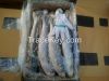 Frozen Grey mullet who...