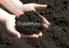 Natural black soil