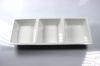 Chip/Dip melamine tray