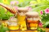 Honey Flower higher an...