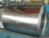 Hot dipped galvanized steel sheets in coils