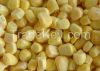 FROZEN SWEET CORN