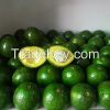 Avocado fruits