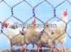 Hexagonai Wire Mesh