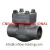 forged steel check valve