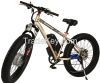 2015 Fat Powered Lithium Battery Electric Bicycle