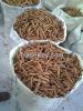 Cinnamon - Indonesian ...