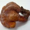 100% Natural Ganoderma Lucidum Extract/Reishi Mushroom Extract Polysaccharides 10%-50% from GMP Fact
