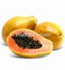 Papain, Papaya extract powder, papain enzyme, 50,000 u/g to 3,500,000 u/g