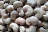 High Quality Nigerian Cashew Nut