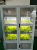 Hydroponic  grow cabinet