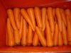 provide good carrots i...