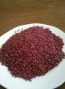 Quinoa Black, Red and White Royal Quinoa from Bolivia-Uyuni