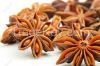 Vietnam Star Anise without stem GOOD QUALITY to export(Skype: hanfimex08)