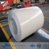 Color Coated Galvanized Steel Coils & Sheets