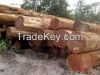 Specialised in Tropical Hardwood ( Greenheart, Purpleheart, Kabukalli, Tauroniro, Wallaba, Mora, Shibadan) & GH piles & charcoal