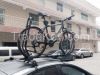 Bike carriers with high quality and nice workmanship