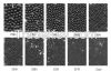 Shot blasting media steel shot 0.8mm Kaitai Manufacturer