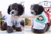 2015 hot sell Pink Cotton dog T-shirt for spring and summer 